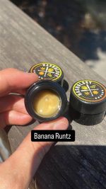 HASHOLOGY HASH ROSIN  HASHOLOGY 2G ROSIN HASHOLOGY COLD CURE ROSIN HASHOLOGY LIVE Rosin