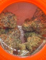 SHERBINSKIS FLOWER sherbinskis premium indoor flower sherbinskis sherbinski sherbinskis 3.5g Flower