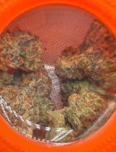 SHERBINSKIS FLOWER sherbinskis premium indoor flower sherbinskis sherbinski sherbinskis 3.5g Flower