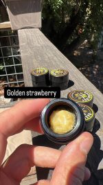 HASHOLOGY HASH ROSIN  HASHOLOGY 2G ROSIN HASHOLOGY COLD CURE ROSIN HASHOLOGY LIVE Rosin