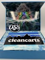 CLEAN CARTS 2G WINTER BLUE EDITION CLEAN CARTS 2G CLEAN CARTS DISPOSABLE 2G CLEAN CARTS WINTER BLUE EDITION DISPOSABLE CLEAN CARTS REAL OR FAKE
