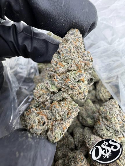 SABERTOOTH STRAIN SABERTOOTH WEED STRAIN SABER TOOTH STRAIN SABERTOOTH OG STRAIN SABERTOOTH STRAIN INDICA OR SATIVA