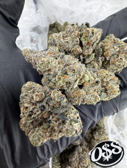 SABERTOOTH STRAIN SABERTOOTH WEED STRAIN SABER TOOTH STRAIN SABERTOOTH OG STRAIN SABERTOOTH STRAIN INDICA OR SATIVA