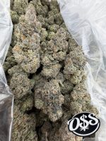 SABERTOOTH STRAIN SABERTOOTH WEED STRAIN SABER TOOTH STRAIN SABERTOOTH OG STRAIN SABERTOOTH STRAIN INDICA OR SATIVA