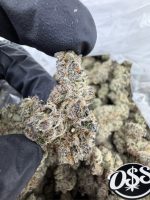 GEORGIA PEACH STRAIN georgia peaches strain georgia peach reviews georgia peach weed strain georgia peach strain effects