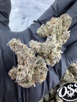 GEORGIA PEACH STRAIN georgia peaches strain georgia peach reviews georgia peach weed strain georgia peach strain effects