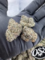 BIRTHDAY CAKE STRAIN birthday cake kush strain birthday cake weed strain birthday cake strain effects birthday cake weed strain review