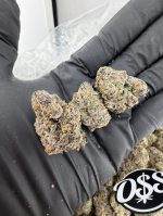 Rainbow beltz strain Rainbow beltz weed strain rainbow beltz strain thc level rainbow belts strain rainbow beltz strain thca flower