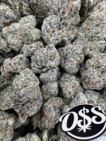 Rainbow beltz strain Rainbow beltz weed strain rainbow beltz strain thc level rainbow belts strain rainbow beltz strain thca flower