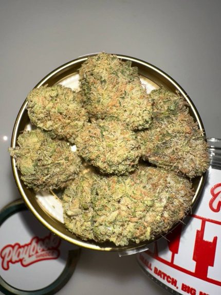 PLAYBOOK GENETICS CANNABIS FLOWER PLAYBOOK GENETICS PREMIUM FLOWER PLAYBOOK GENETICS SMALL BATCH JARS