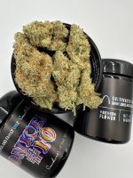 ACE LURE CO CANNABIS FLOWER ACE LURE CO FLOWER JARS ACE LURE CO FLOWER ACE LURE CO WEED NEAR ME ACE LURE CO CANNABIS FLOWER IN AUSTRALIA