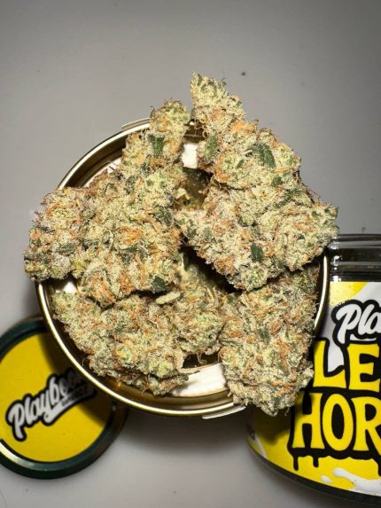 PLAYBOOK GENETICS CANNABIS FLOWER PLAYBOOK GENETICS PREMIUM FLOWER PLAYBOOK GENETICS SMALL BATCH JARS