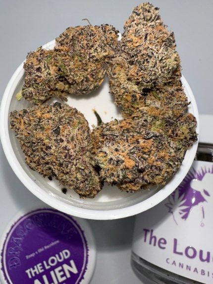 THE LOUD ALIEN CANNABIS FARMS THE LOUD ALIEN PREMIUM CANNABIS FARMS THE LOUD ALIEN CANNABIS JARS THE LOUD ALIEN PREMIUM FLOWER