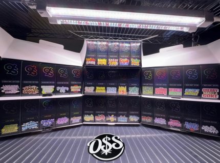 9INES 2G DISPOSABLE 9ines exclusive 2g 9ines disposable 9ines 2 gram disposable 9ines disposable vape