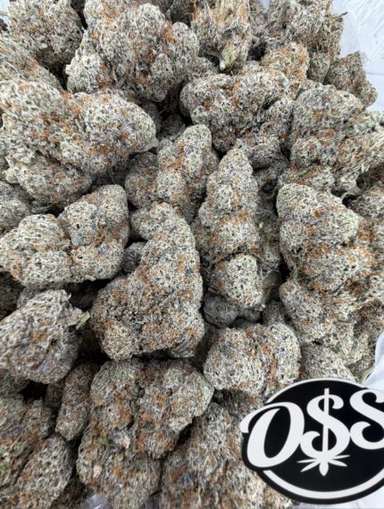 OREO BLIZZARD STRAIN oreo blizzy strain oreoz blizzard strain oreo blizzard weed strain blizzard strain