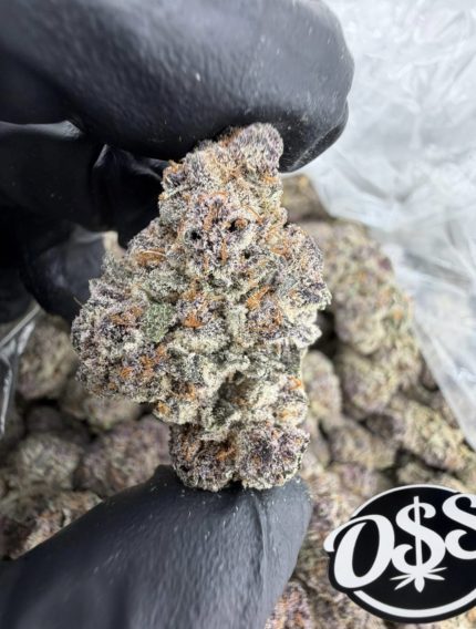 JELLY TRUFFLE STRAIN jelly truffle strain indica or sativa jelly truffle strain effects jelly truffle weed strain jelly truffle strain review