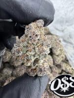 STRAWBERRY PIE STRAIN strawberry pie strain indica or sativa strawberry pie strain effects strawberry pie strain review STRAWBERRY PIE WEED STRAIN