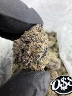 GREAT ESCAPE STRAIN great escape weed strain great escape strain reviews great escape strain effects