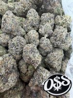 GREAT ESCAPE STRAIN