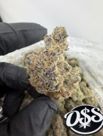 Tropical Z strain