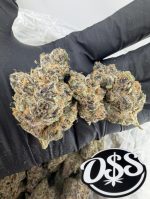 TROPICAL Z STRAIN tropical z strain effects tropical zkittlez strain tropical z strain indica or sativa what is the best strain of indica