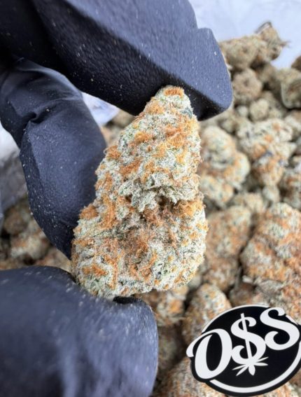 PEACH FUZZ STRAIN peach fuzz strain indica or sativa peach fuzz strain effects peach fuzz strain review Peach Fuzz Weed Strain