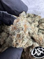 sticky rice strain sticky rice weed strain  sticky mango strain sticky rice strain indica or sativa sticky rice strain effects