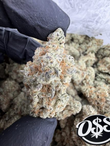 sticky rice strain sticky rice weed strain  sticky mango strain sticky rice strain indica or sativa sticky rice strain effects