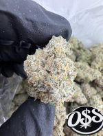 CANTALOUPE STRAIN cantaloupe strain effects cantaloupe strain indica or sativa cantaloupe haze strain cantaloupe weed strain