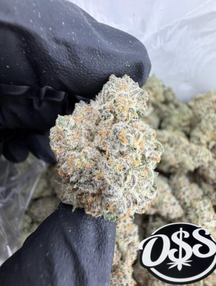 CANTALOUPE STRAIN cantaloupe strain effects cantaloupe strain indica or sativa cantaloupe haze strain cantaloupe weed strain