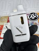 FLAVORZ KING SIZE 2G Disposable FLAVORZ 2G Disposable flavorz king size disposable flavorz 2g disposable king size flavorz king size disposable vape