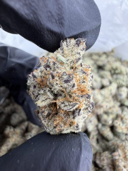 JACK FROST STRAIN jack frost weed strain Jack Frost bud jack frost weed jack frost strain near me