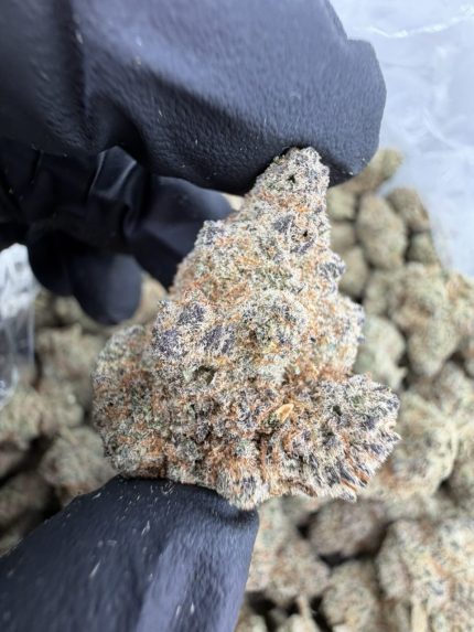 THUNDER BIRD STRAIN THUNDER BIRD WEED STRAIN THUNDER BIRD STRAIN NEAR ME