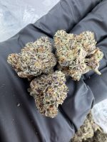 BLUEBERRY JAM STRAIN blue jam strain blue jam weed strain blueberry jam weed strain blueberry jam strain effects blueberry jam strain indica or sativa