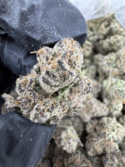 BERRY RUNTZ STRAIN berry runtz runtz berry strain berry runtz strain indica or sativa berry runtz strain effects berry runtz strain thc level
