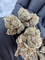 LEMON CHERRY GELATO STRAIN lcg strain lcg weed strain lemon cherry gelato strain effects lcg strain indica or sativa lemon cherry gelato thca