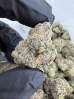 YELLOWTAIL STRAIN yellowtail strain indica or sativa yellow tail strain review yellow tail weed strain YELLOWTAIL STRAIN NEAR ME