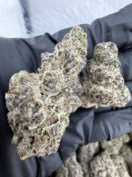 BLOCKBERRY STRAIN block berry strain blockberry blockberry weed strain blockberry strain effects blockberry strain indica or sativa
