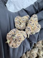 BLUE CAVIAR STRAIN blueberry caviar strain blue caviar weed strain blueberry caviar strain review blueberry caviar strain near me