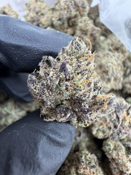 BIRKIN CANDY STRAIN