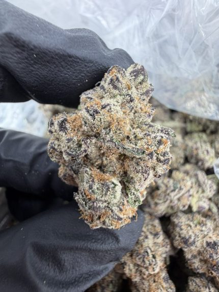 ICE CREAM SUNDAE STRAIN