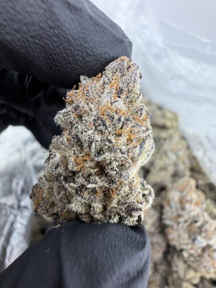 SOUR APPLE BUTTER STRAIN