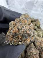 DIRTY MARTINI STRAIN dirty martini strain indica or sativa dirty martini strain review dirty martini strain effects dirty martini weed strain