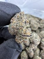 CANDY FUMES STRAIN candy fumez strain candy fumez candy fumez weed strain candy fumez strain indica or sativa