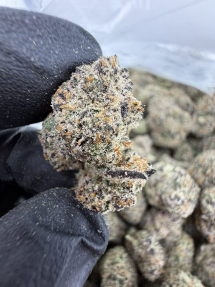 CANDY FUMES STRAIN candy fumez strain candy fumez candy fumez weed strain candy fumez strain indica or sativa