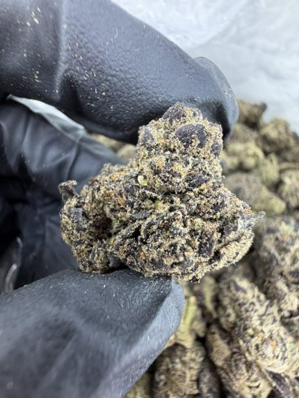 BLACK RUNTZ STRAIN black runtz strain indica or sativa black runtz strain effects black runtz strain review black runtz strain thc level