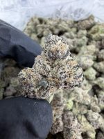 PABLO RUNTZ STRAIN pablo runtz weed strain pablo escobar runtz strain pablo escobar thca flower