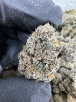 PHANTOM RUNTZ STRAIN phantom runtz weed phantom runtz weed strain PHANTOM RUNTZ STRAIN indica or sativa PHANTOM RUNTZ STRAIN review 