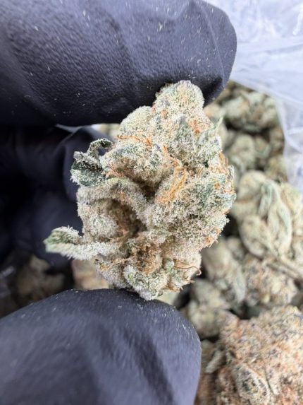 HONEY BUN STRAIN honey bun strain indica or sativa honey bun strain effects honey bun strain review cookies honey bun strain