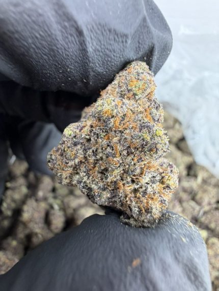 POINT BREAK STRAIN point break strain indica or sativa point break strain effects point break strain review point break strain info